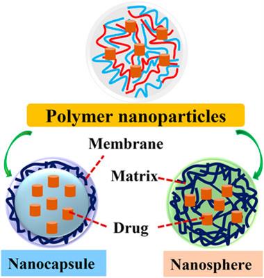 Development of novel polymeric nanoagents and their potential in cancer diagnosis and therapy runing title: Polymeric nanoagents for cancer theranostics